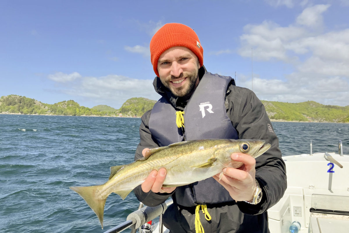 Angler mit Pollack auf Boot, er trägt eine Schwimmweste