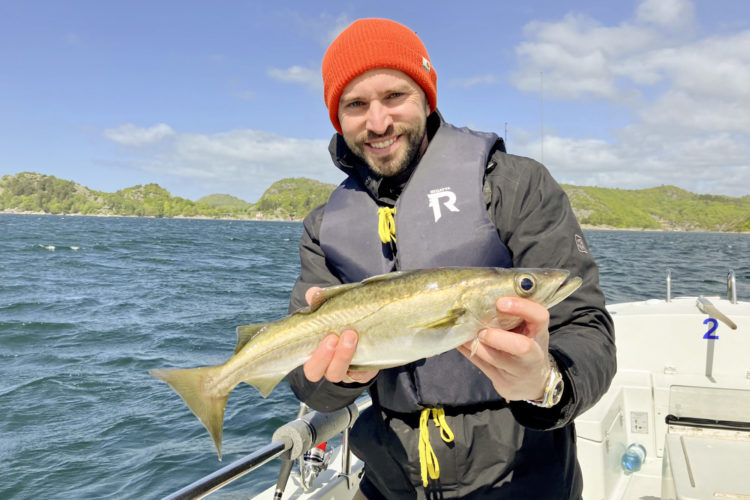 Angler mit Pollack auf Boot, er trägt eine Schwimmweste