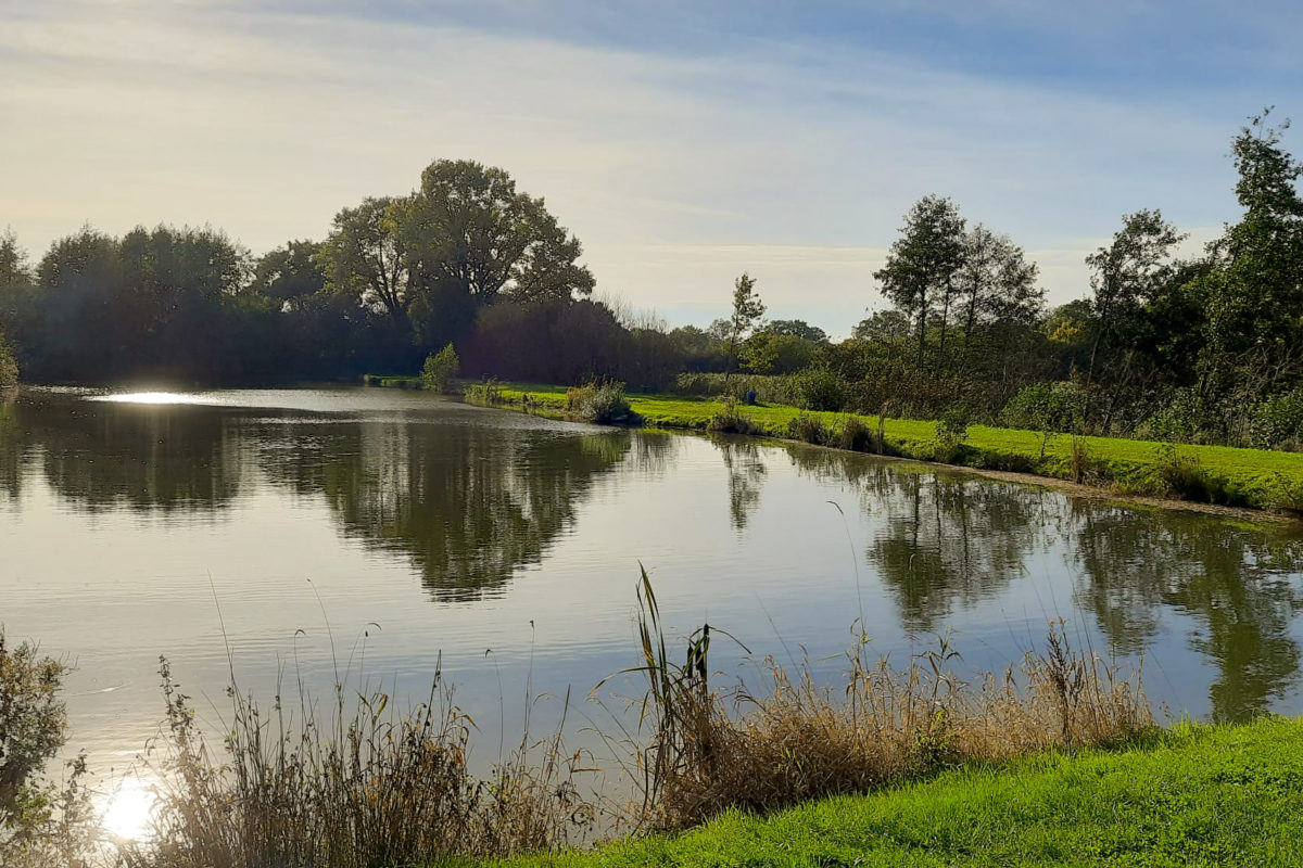 Forellensee Hoisdorf - Fischen bei Chrischen Exotenteich