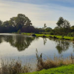 Forellensee Hoisdorf - Fischen bei Chrischen Exotenteich