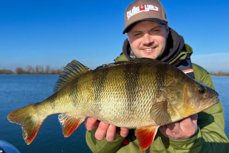 BLINKER-Hitparade 2026: So fangen unsere Leser!