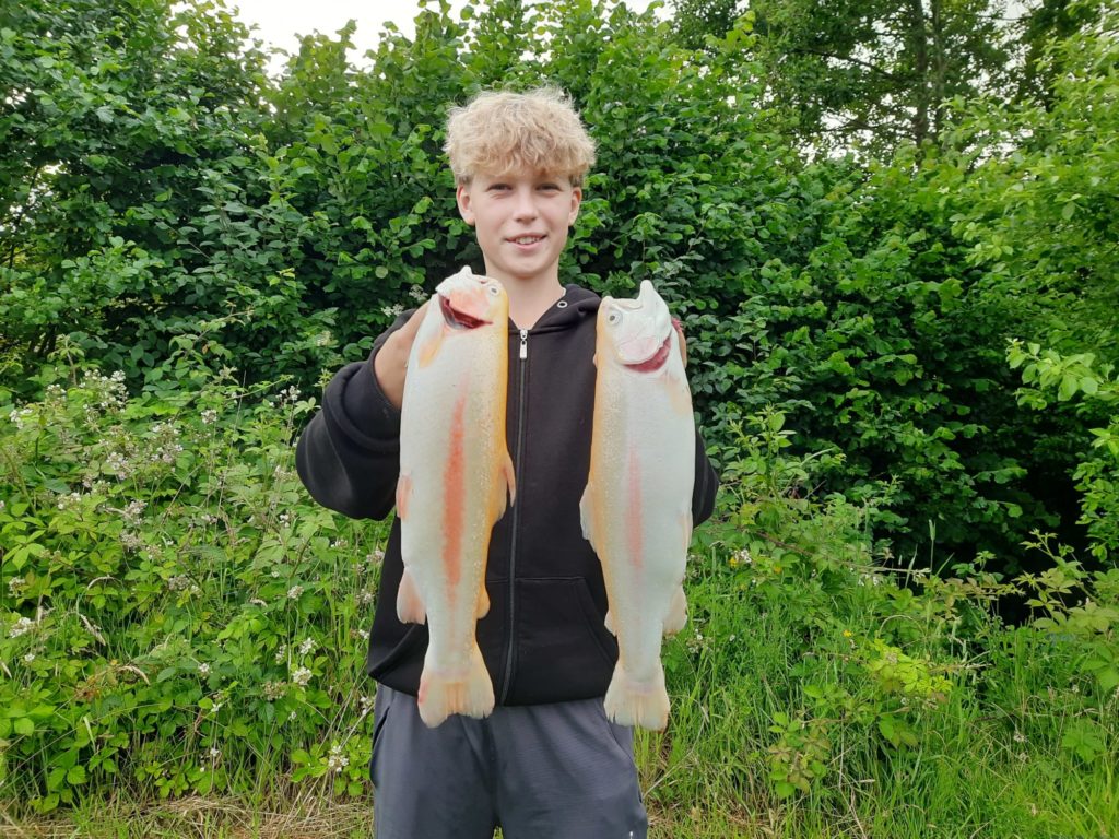 Hoisdorf: Zwei prächtige Goldforellen.