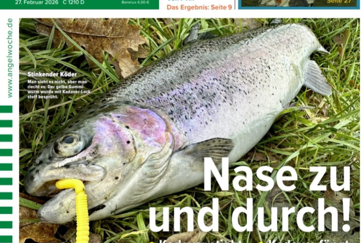 Cover der AngelWoche 06/2026: Nase zu und durch!