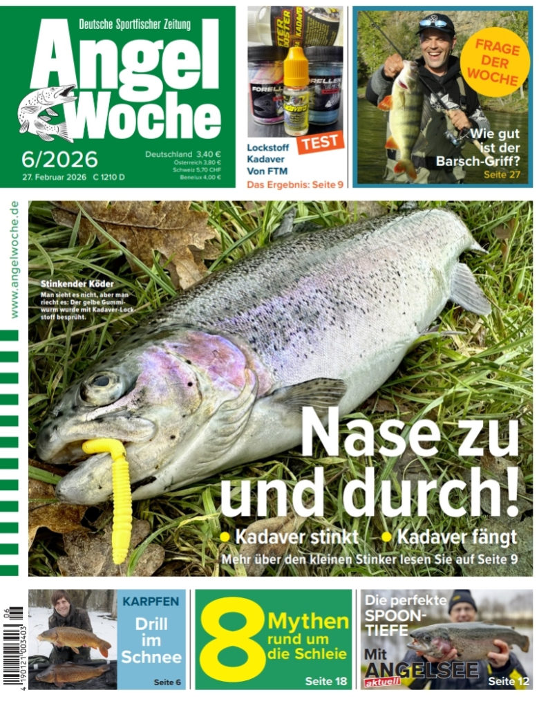 Cover der AngelWoche 06/2026: Nase zu und durch!