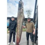 Fischer Franz Blum zeigt zusammen mit seinem Sohn den beeindruckenden Wels: 2,60 Meter und 109 kg schwer.