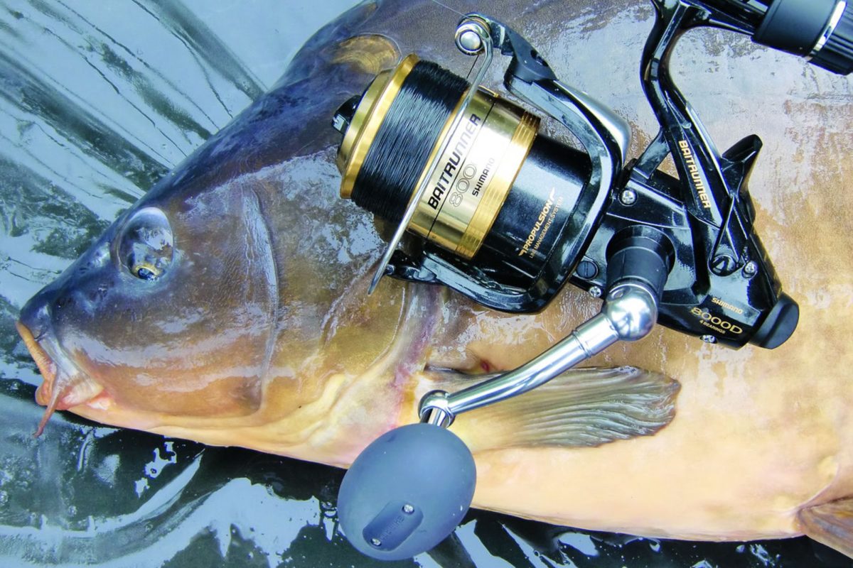 Freilauf Rolle Karpfen