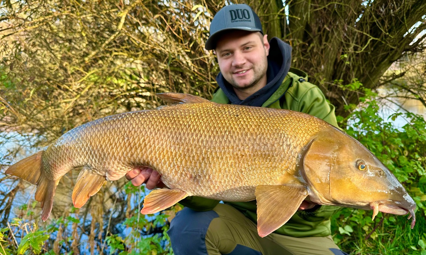 Barbe, 93 cm, Phil Backes