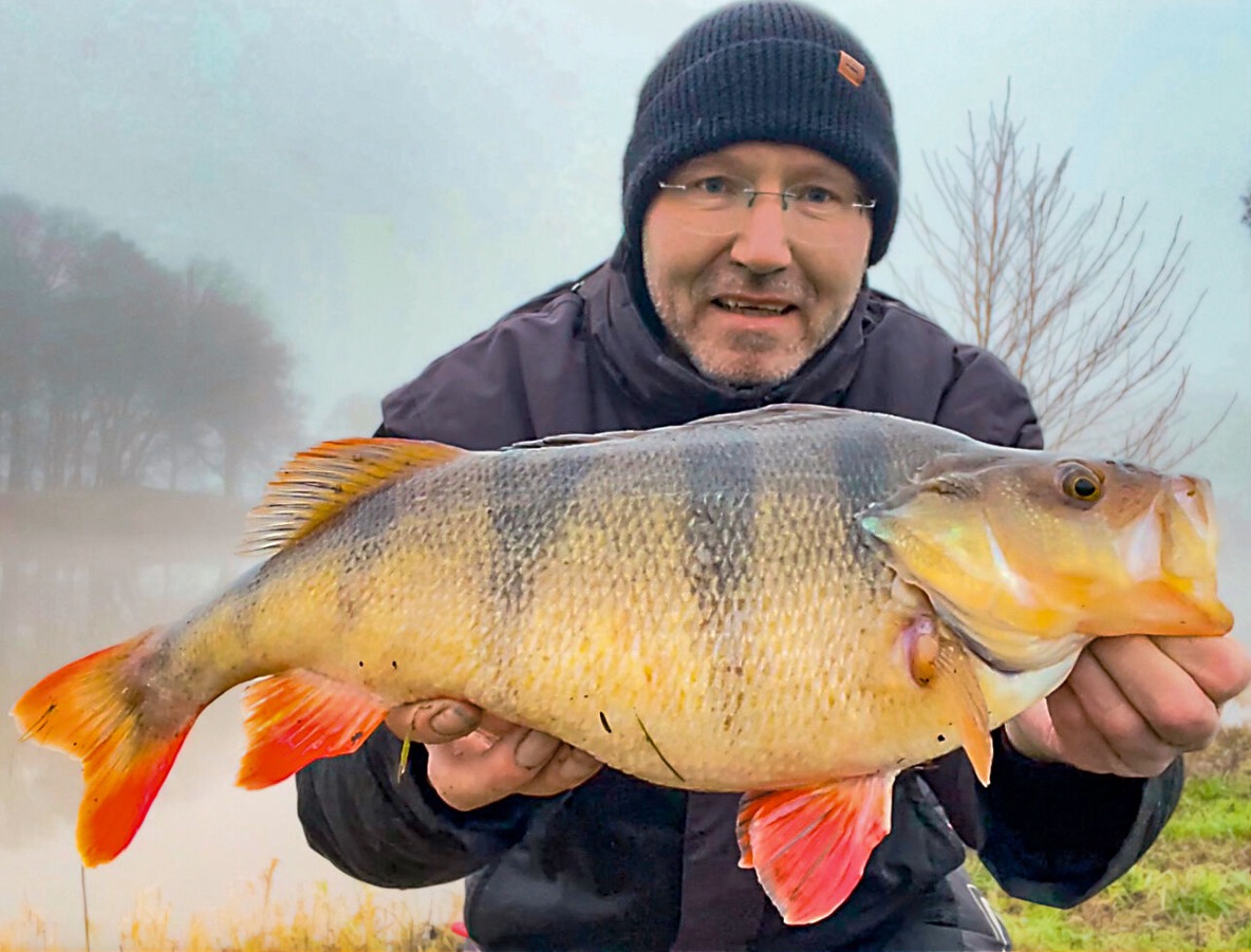 Barsch, 51 cm, Sascha Ucherek