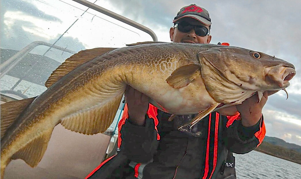 Dorsch, 120 cm, Ronald Oberritter