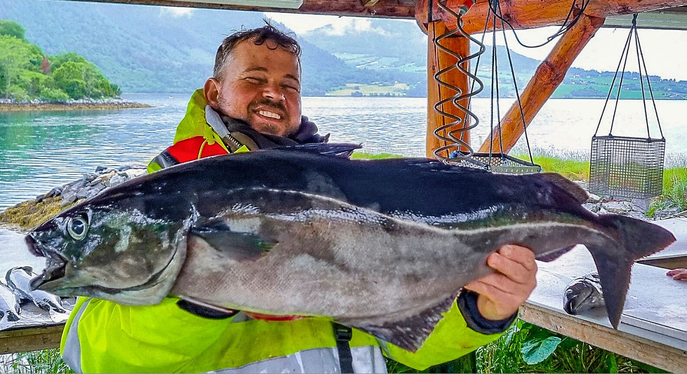 Köhler, 103 cm, Matthias Detlaff