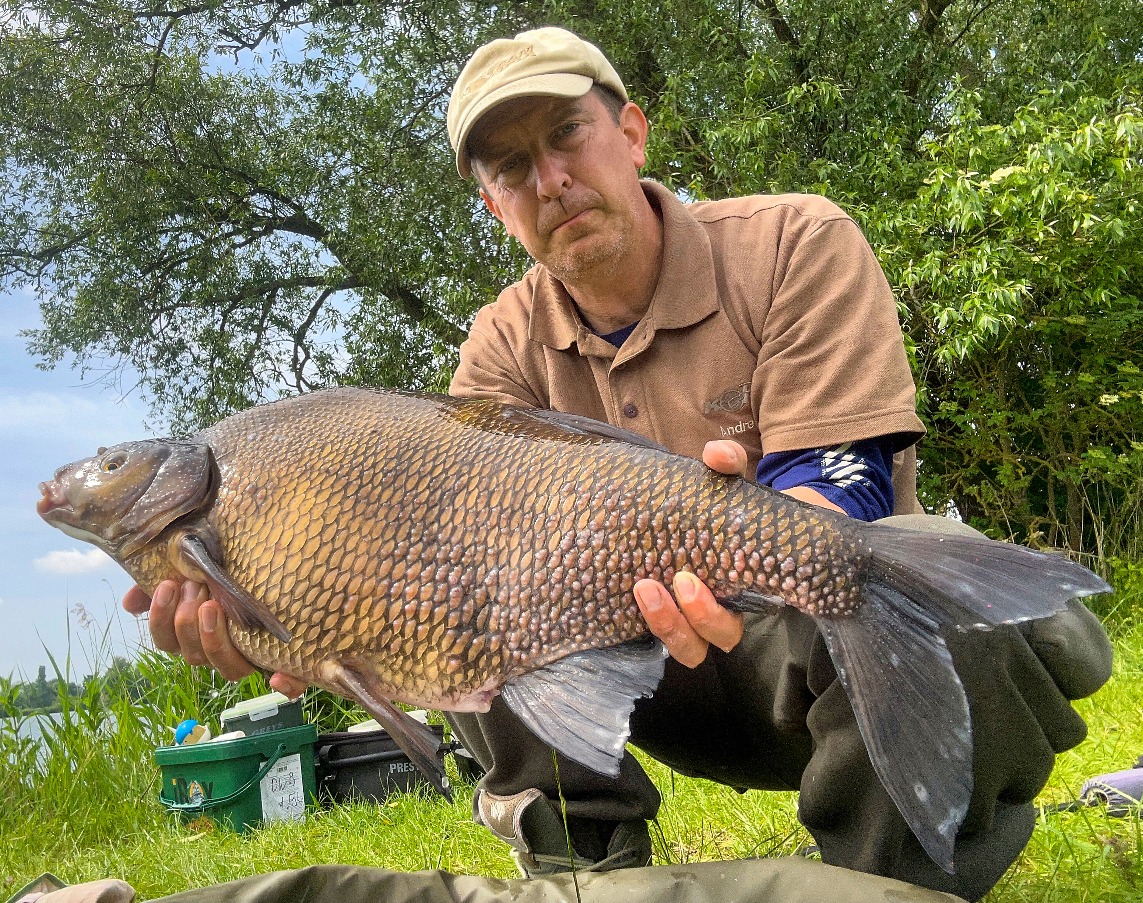 Brassen, 71 cm, Andreas Konz