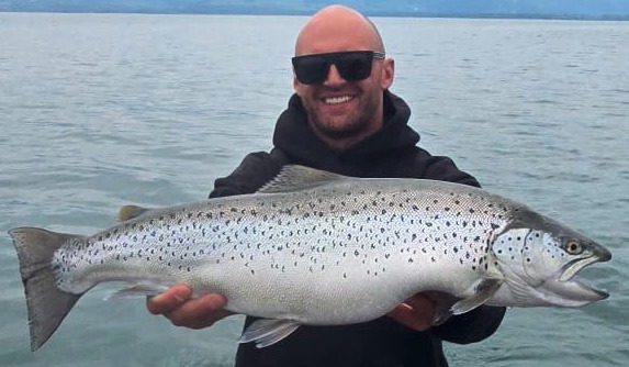 Bach-/Seeforelle, 72 cm, Patrick Dobler