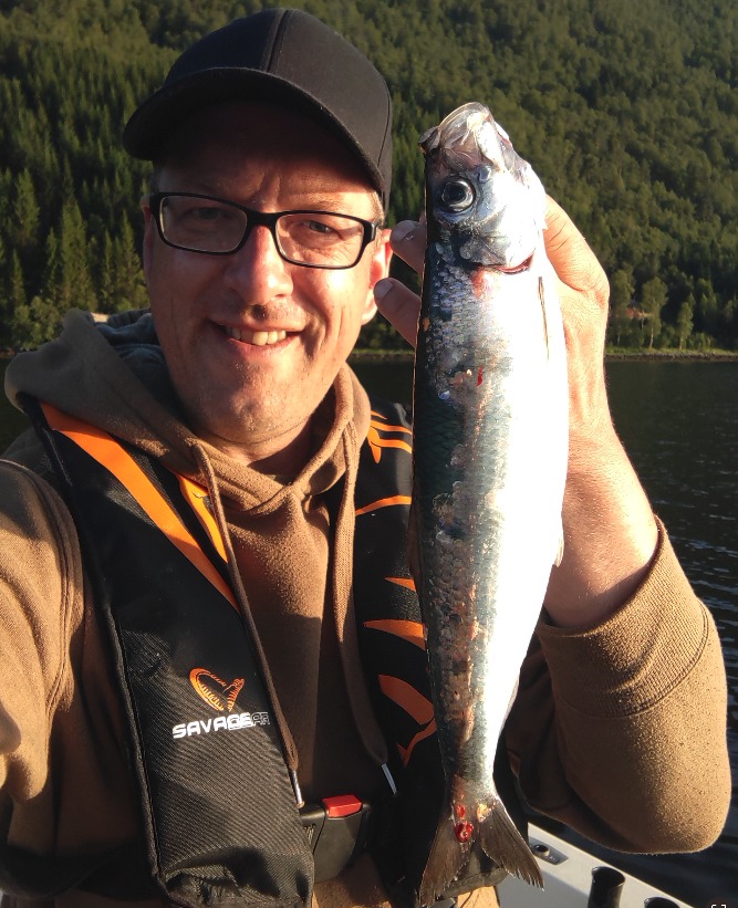 Hering, 37 cm, Martin Ziesemer