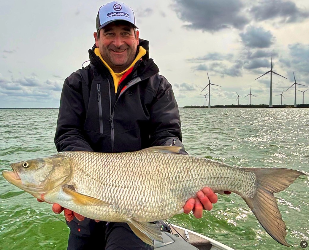 Rapfen, 87 cm, Wolfgang Hocke