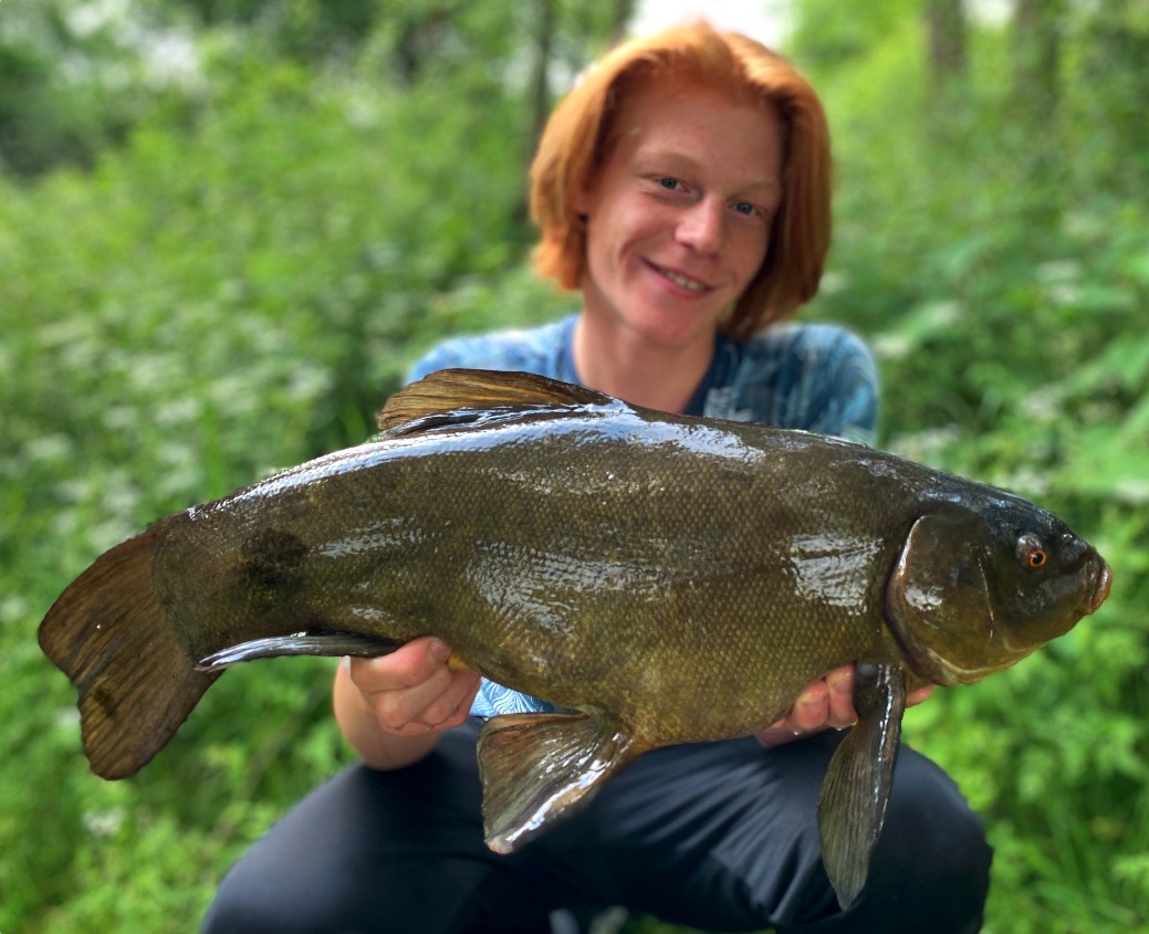 Schleie, 64 cm, Luca Baum