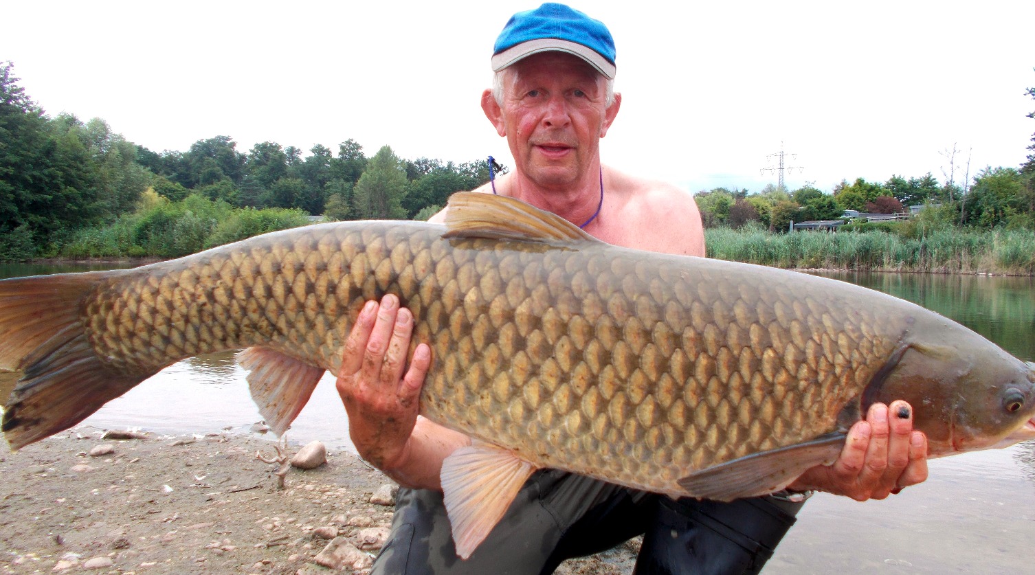 Graskarpfen, 120 cm, Heribert Hock