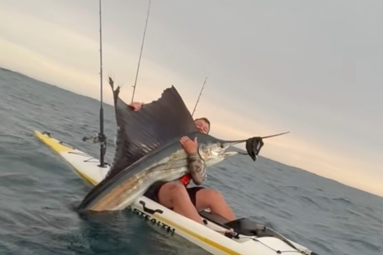 Segelfisch vom Kajak