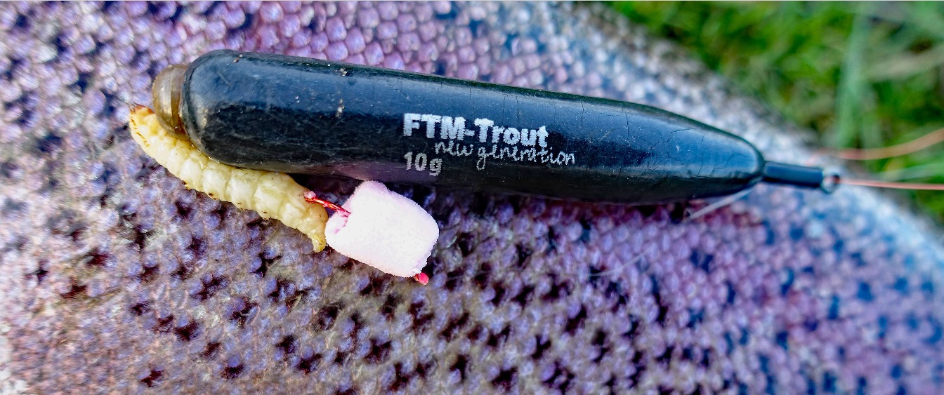 Bodentaster Bienenmade