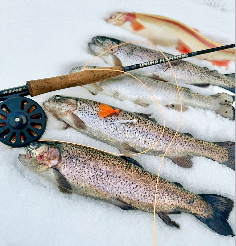 Forellen Fliegenrute Booby