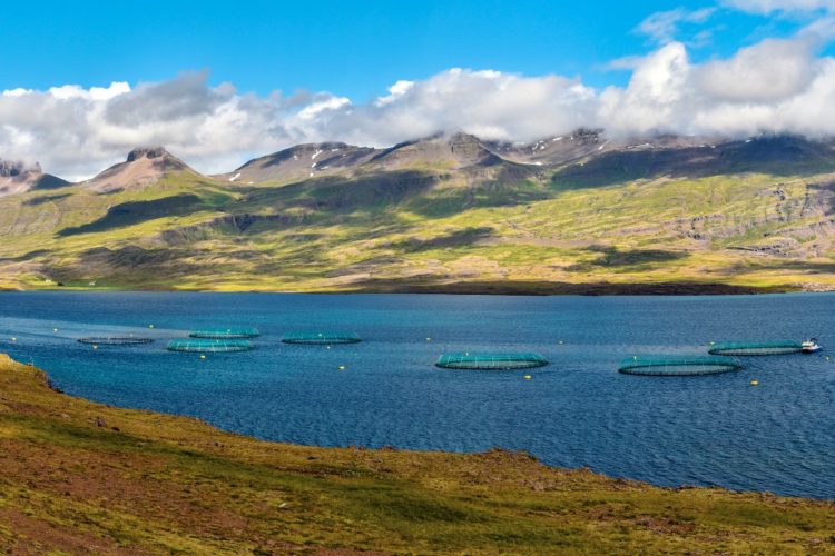 Lachsfarmen Island