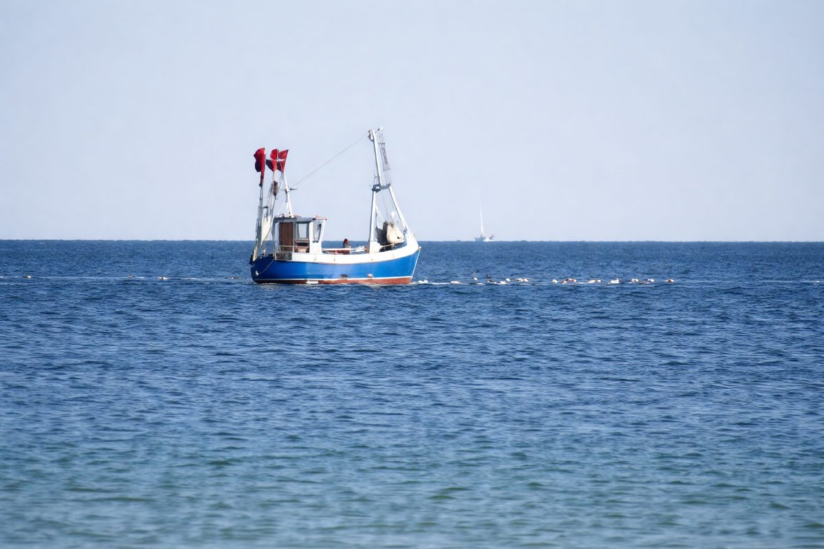 Flotte Ostsee Koordinierungsstelle Hamburg