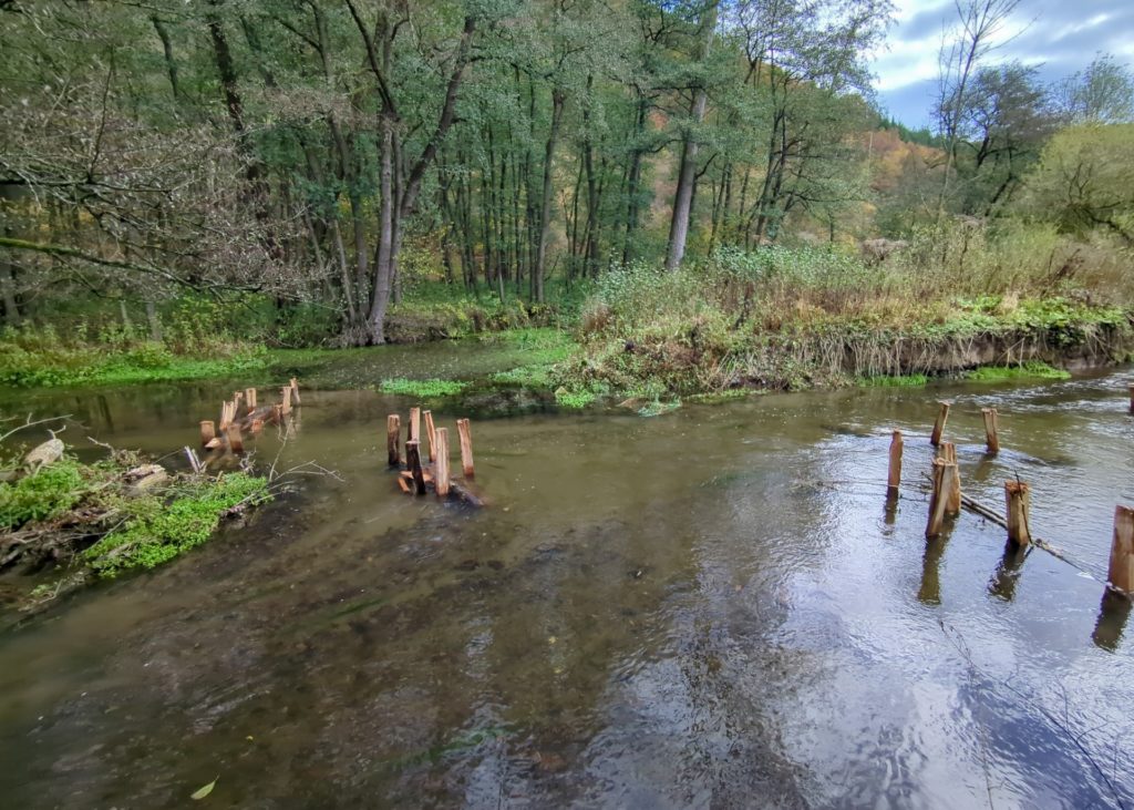 Strömungslenker schaffen abwechslungsreiche Tief- und Flachwasserbereiche.