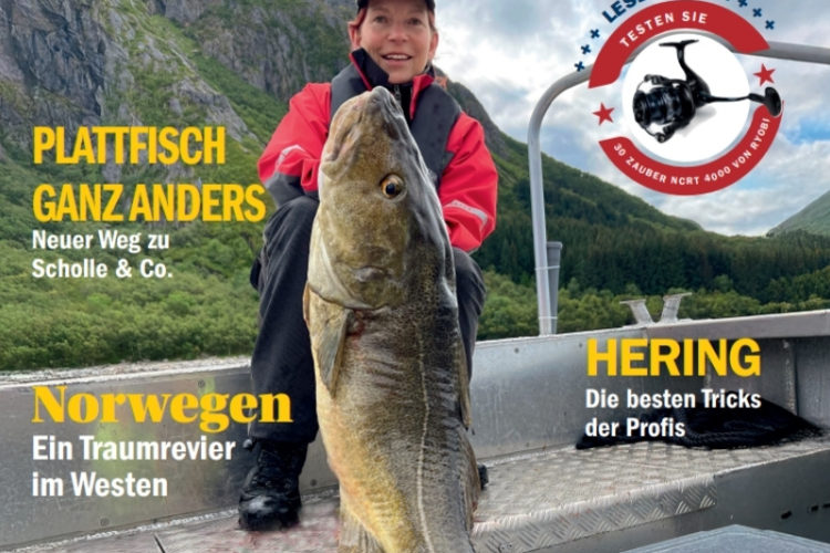 Das Cover der 115. Ausgabe der Kutter & Küste mit einem Großdorsch