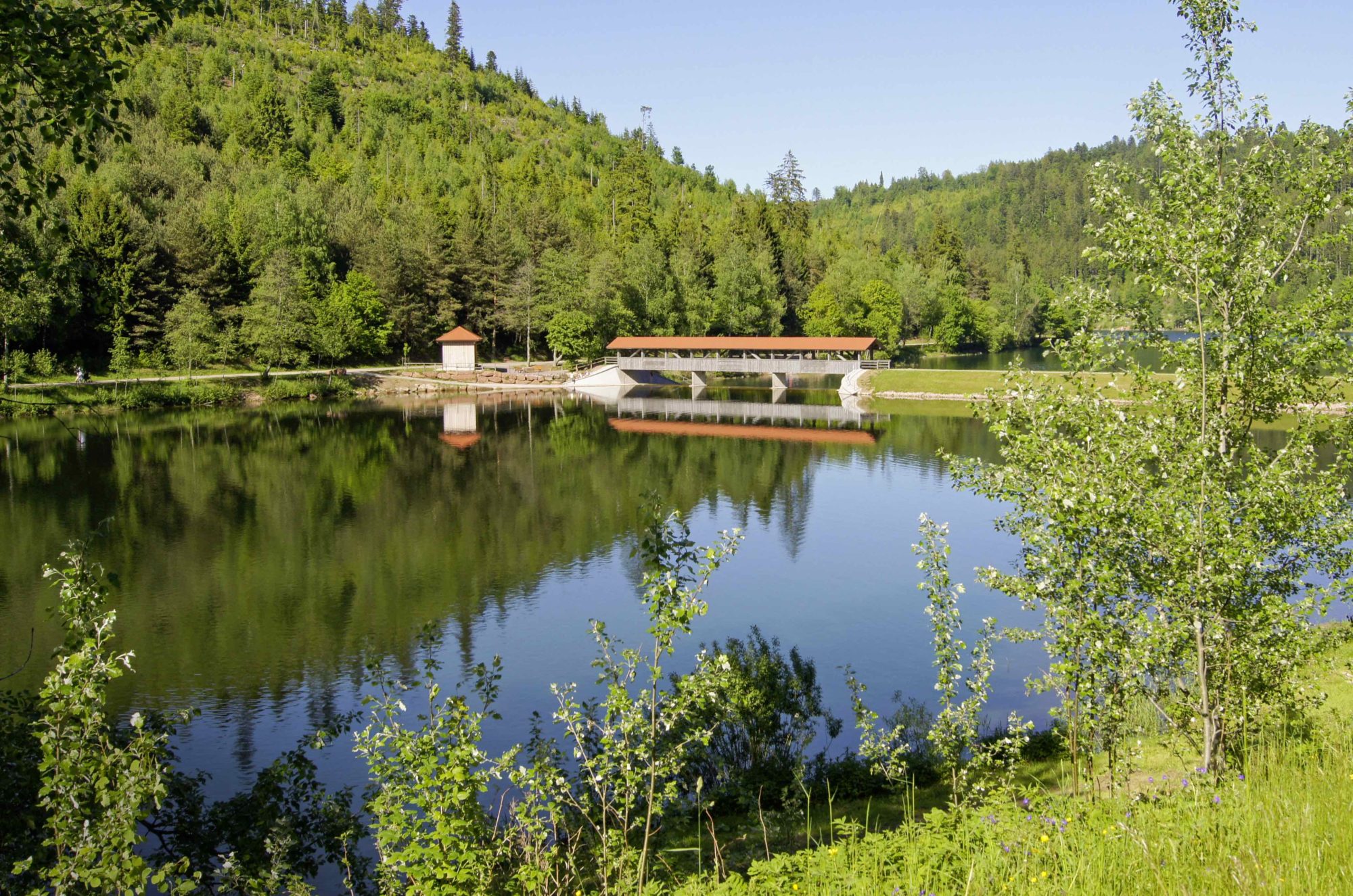 Nagoldsperre Schwarzwald