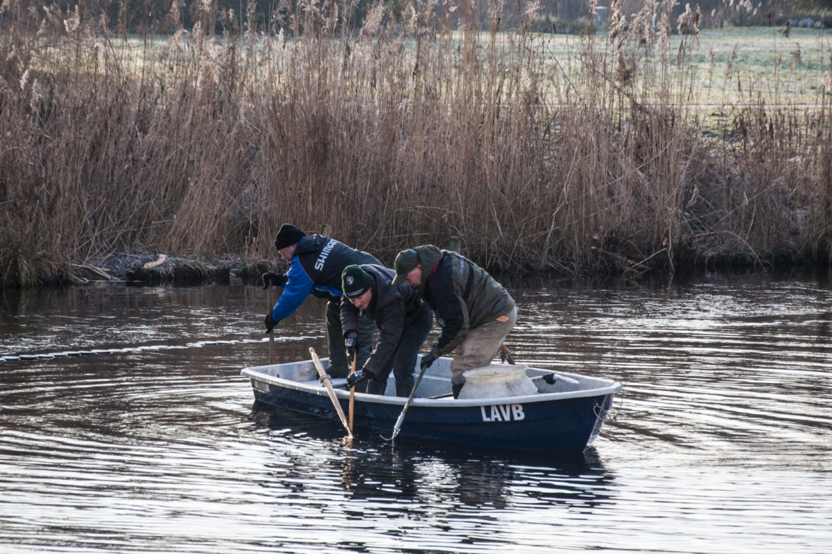 Aufräumaktion vom Boot aus (© Foto: Marcel Weichenhan / LAVB)