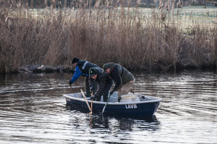 Aufräumaktion vom Boot aus (© Foto: Marcel Weichenhan / LAVB)