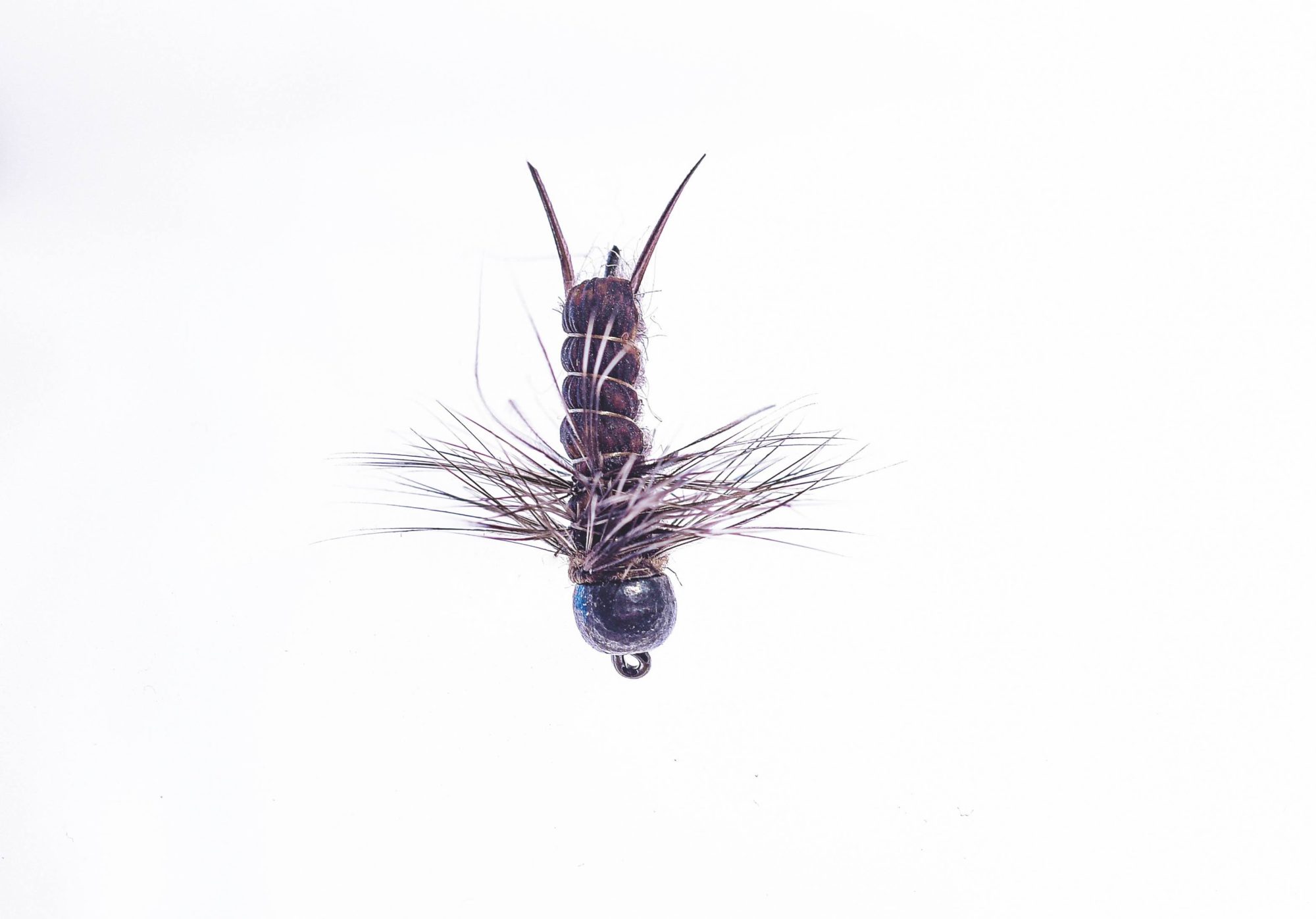 Fliegen für die Eis-Box