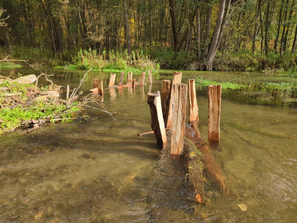 Neugeschaffene Strukturen im Flussbett verbessern die Lebensräume für Fische und andere Wasserorganismen.