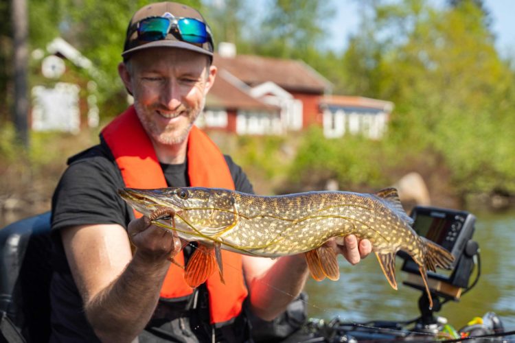 Angler mit Hecht im bellyboot, der hecht hat einen Reins Get Ringer am Offsethaken gefressen