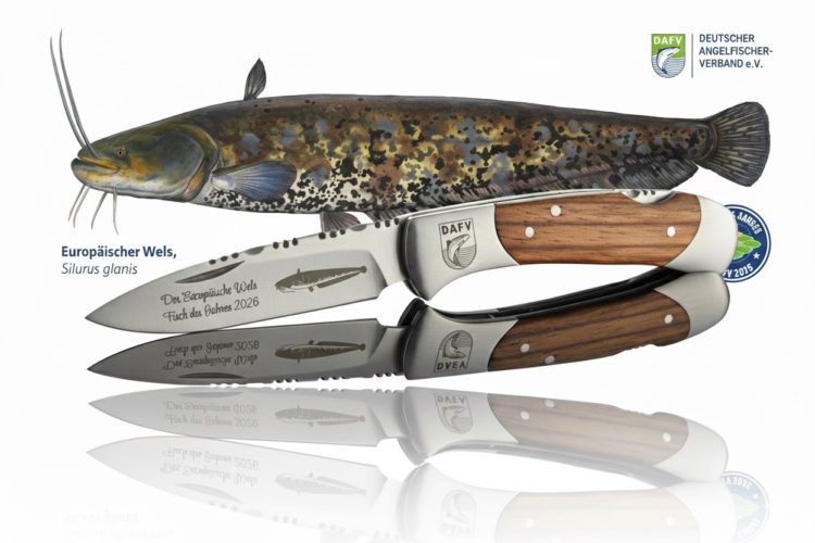 DAFV-Wels-Bundle-2026-Messer-Zebraholz-Poster-Eric-Otten