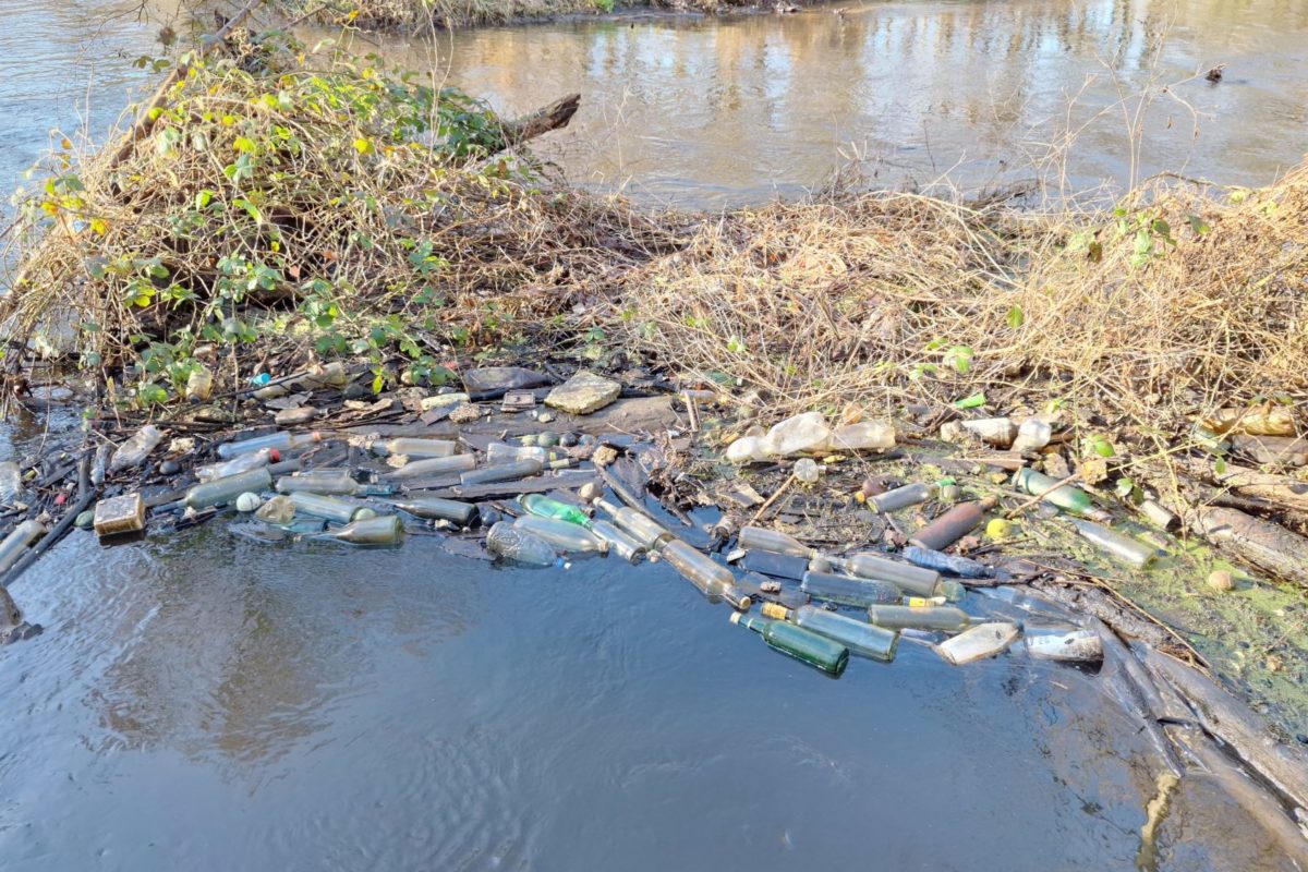 Müllansammlung im Fluss