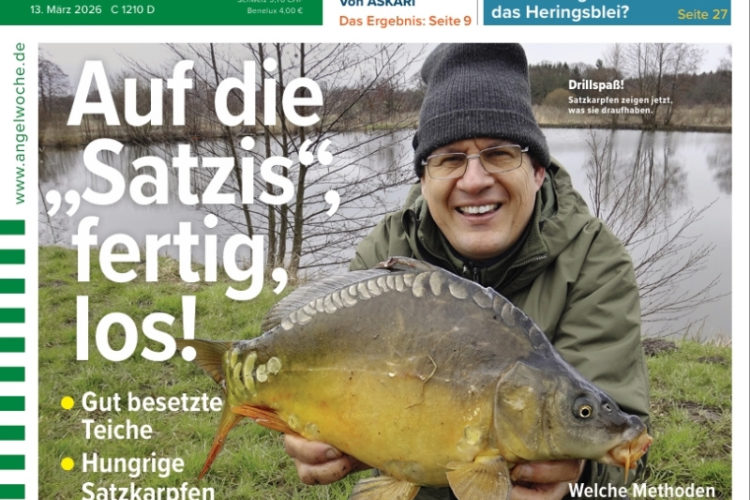 Cover der AngelWoche 07/2026: Auf die Satzis, fertig, los!