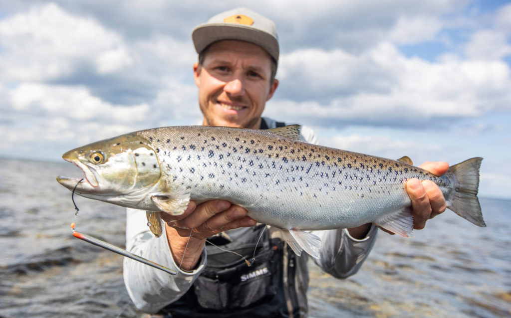 Angler mit Meerforelle, die einen Sandaal-Köder gefressen hat