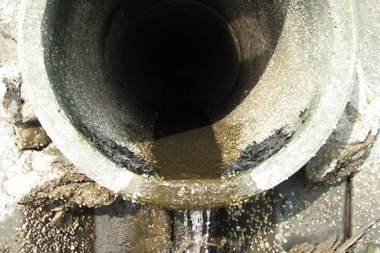 Antibiotica-resistente Keime im Abwasserkanal