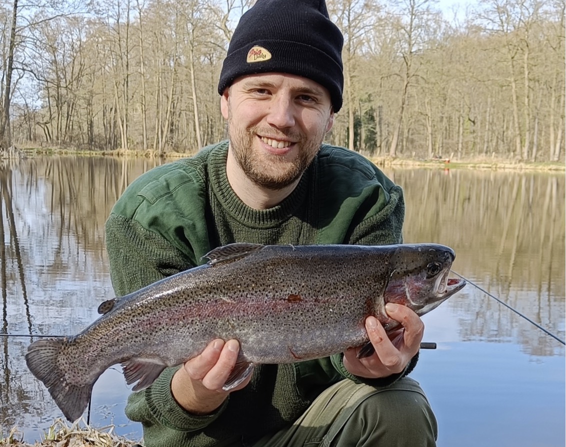 Forelle Lachse Wendt