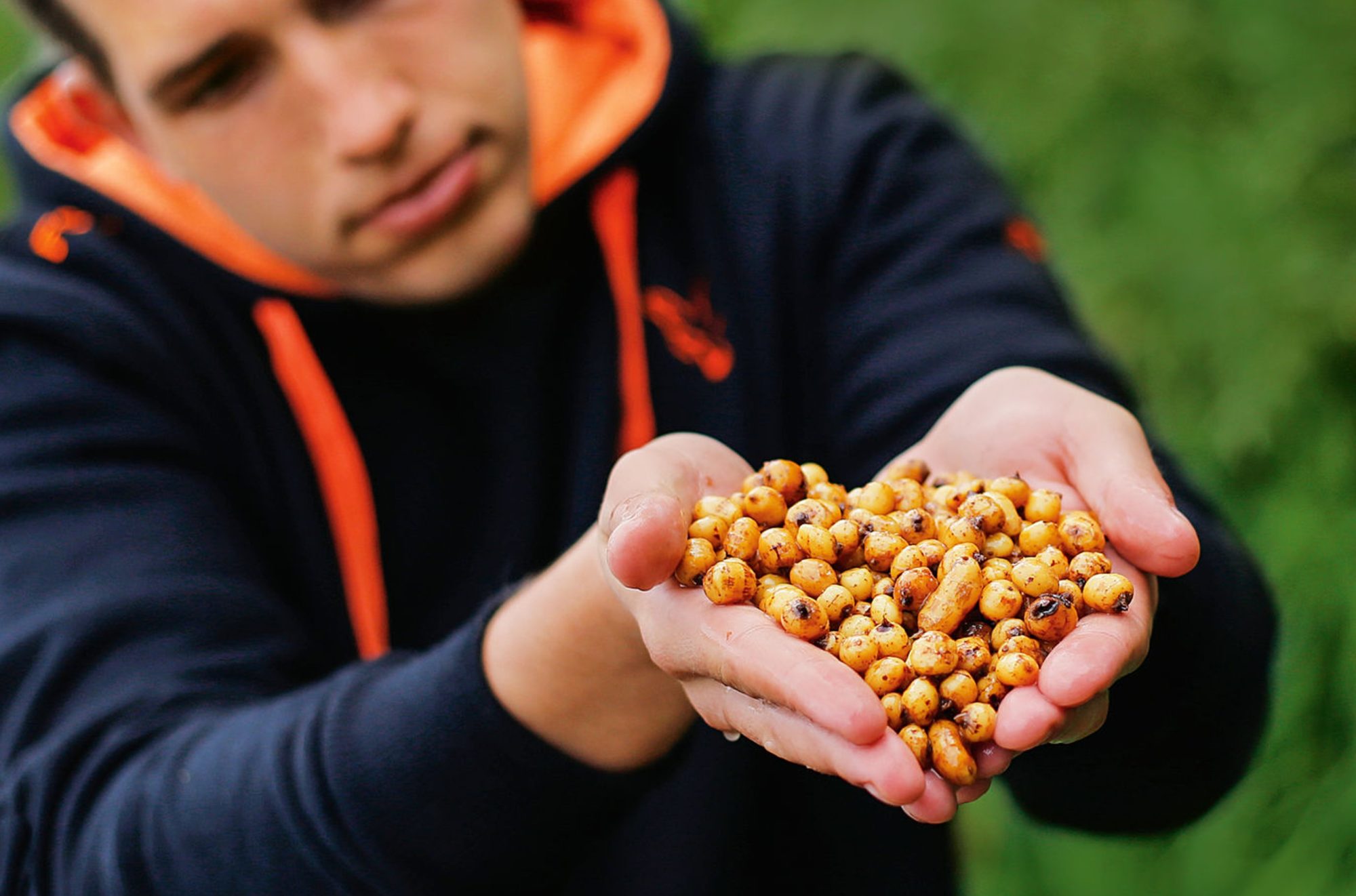 Tigernuss low budget