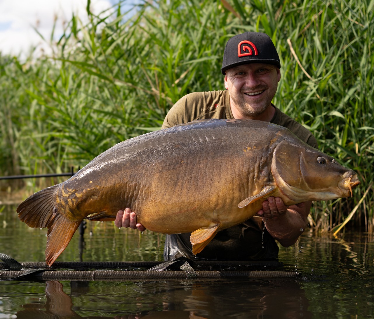 Großer Karpfen Tiger Nut