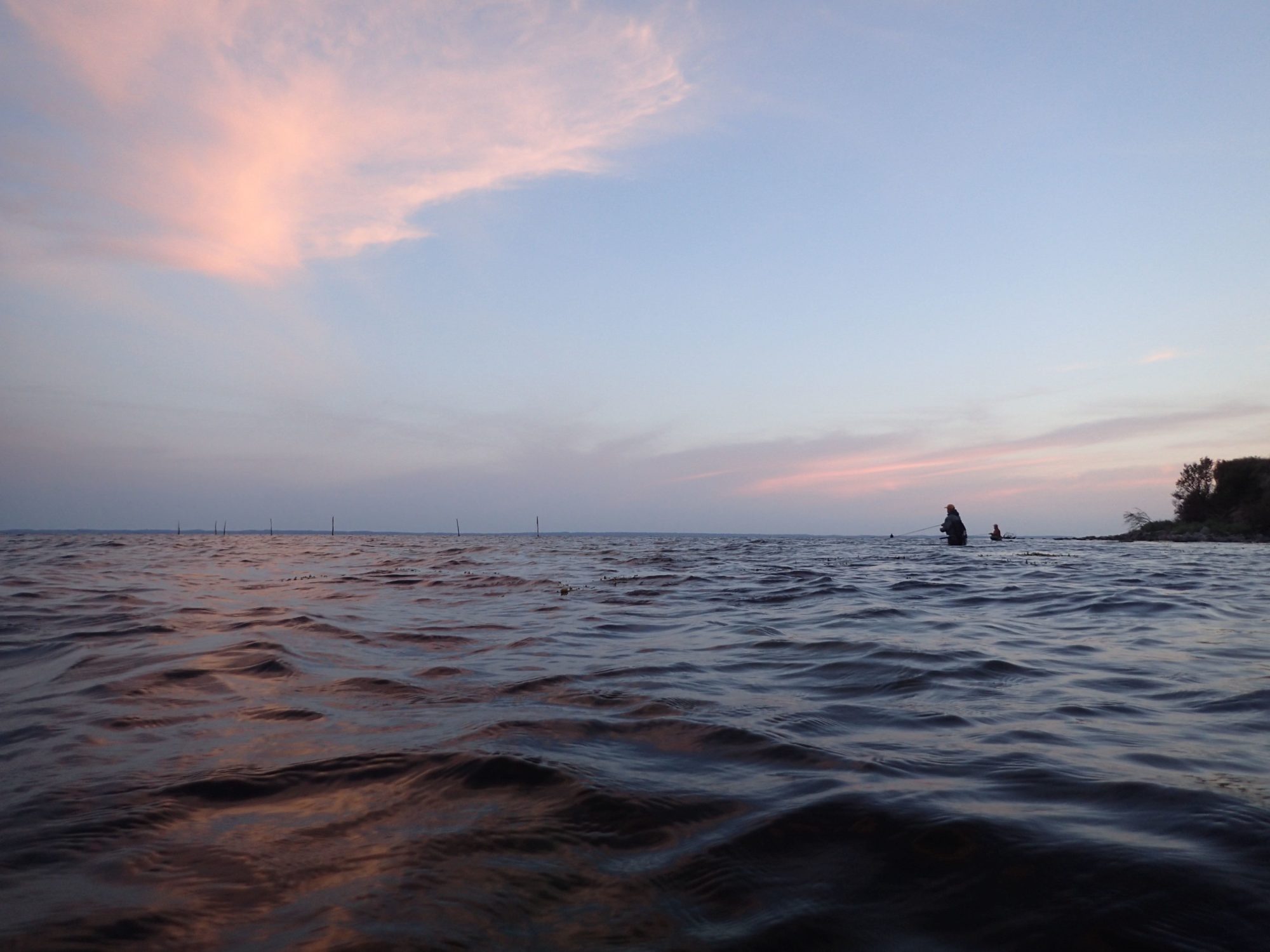 Meerforelle Beutetiere Fliegenfischen Küste