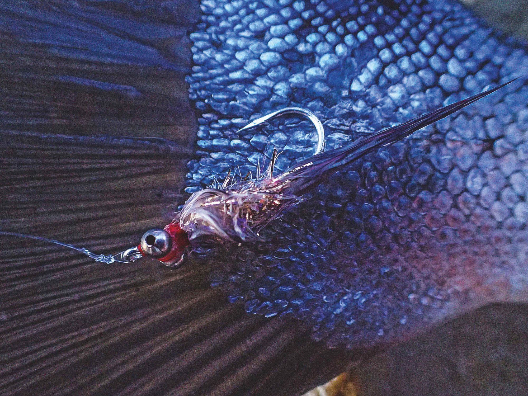 Garnelenfliege Meerforelle Fliegenfischen