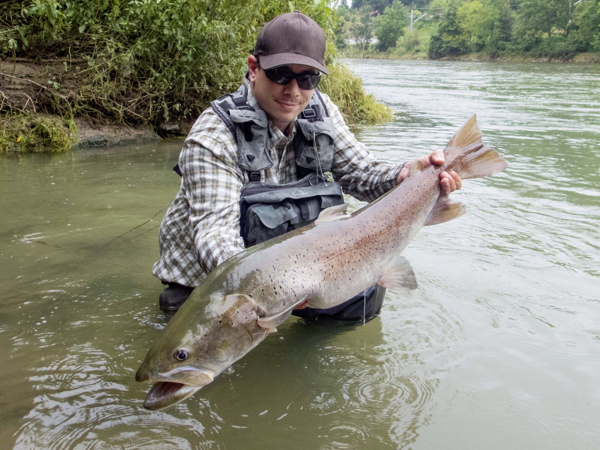 Huchen Nymphenfischen Vorfach