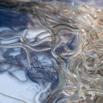 Glasaale für den Aalbesatz in Brandenburg