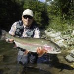 Regenbogenforelle Vorfach Fliegenfischen