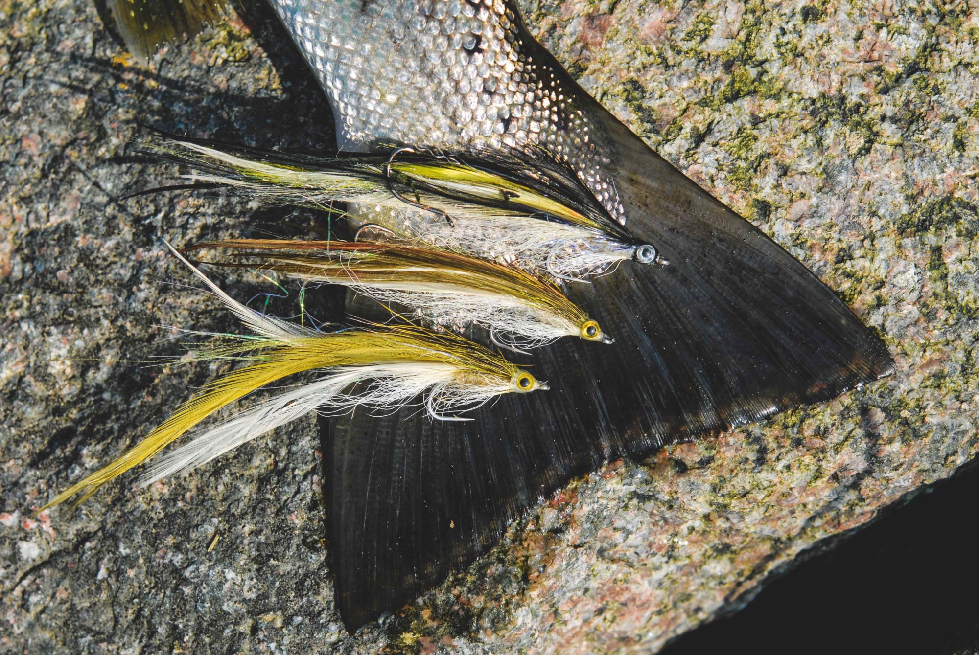 Sandaal Streamer Fliegenfischen