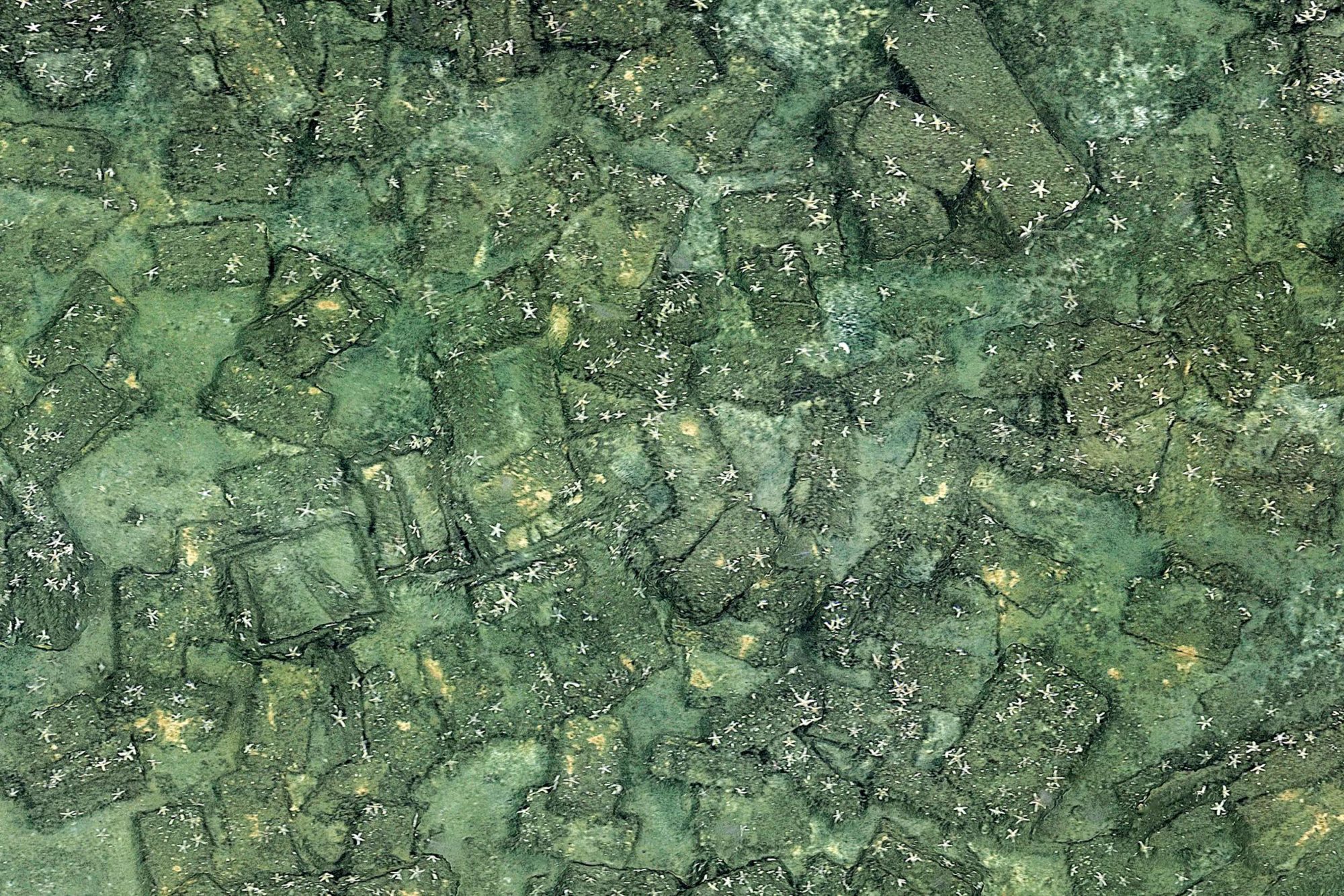 Verklappte Munitionskiste Lübecker Bucht