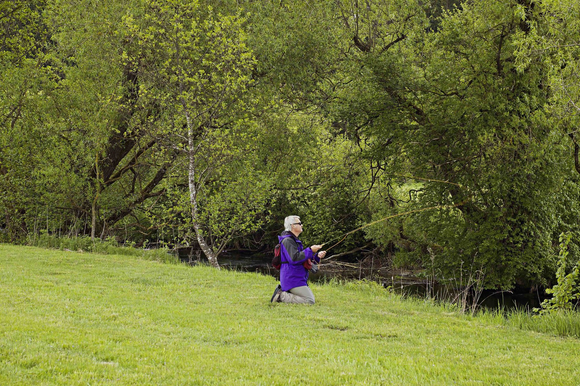 Wildfische Österreich