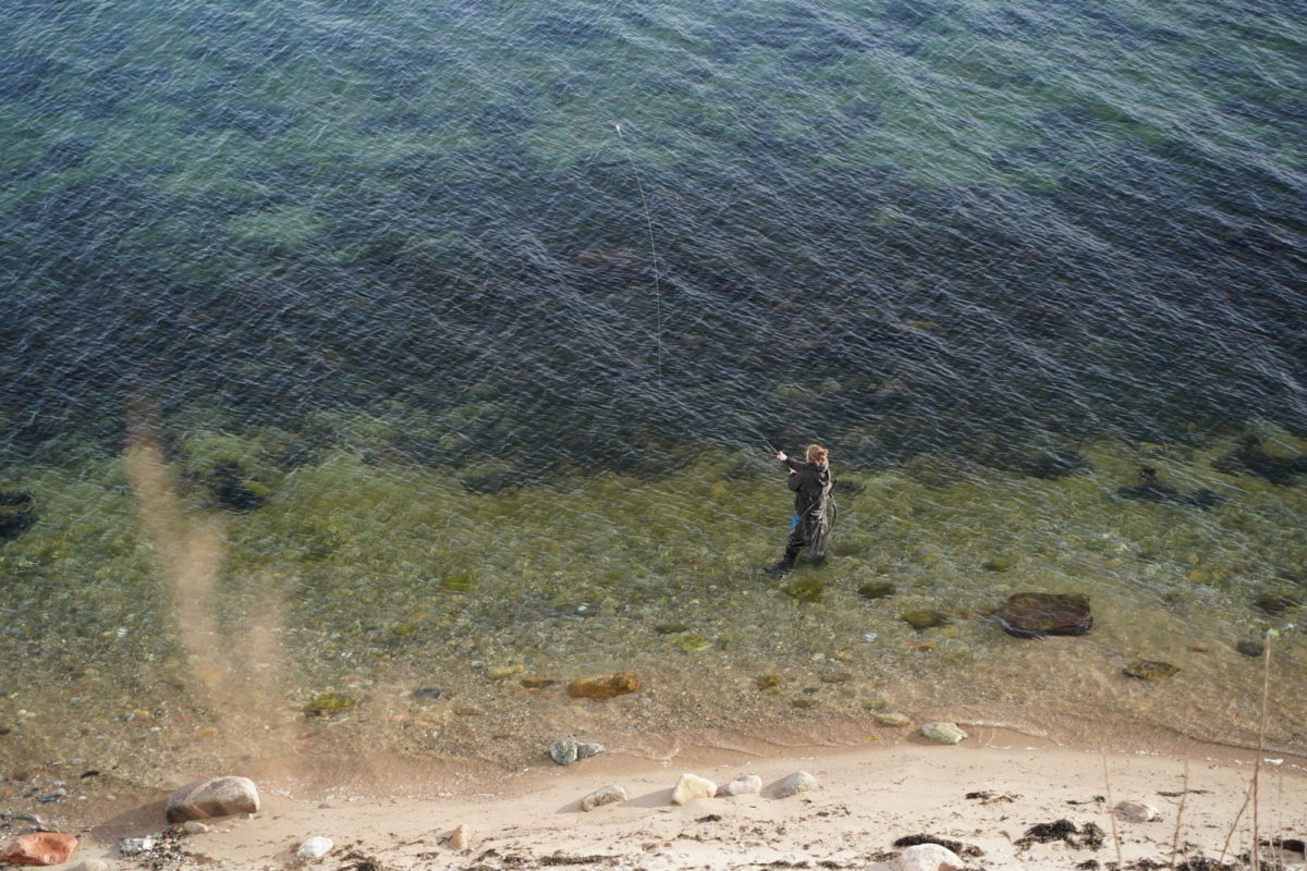 Watangeln Ostsee Schutzzonen Ostsee